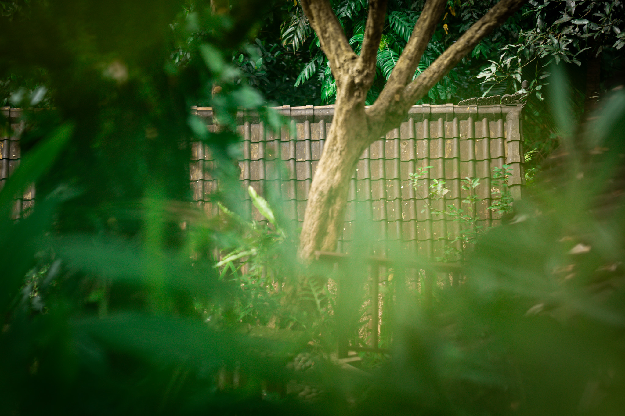 A hidden place in the forest, Bali